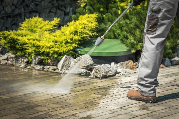 Best Boat and Dock Cleaning  in Rossville, IN