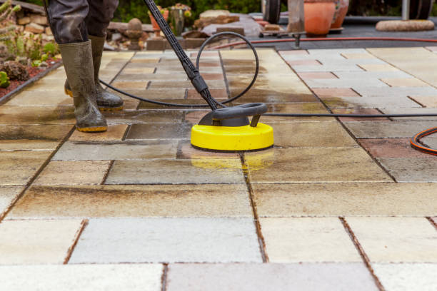 Best Roof Washing  in Rossville, IN