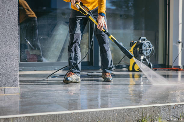 Best Animal Enclosure Cleaning  in Rossville, IN