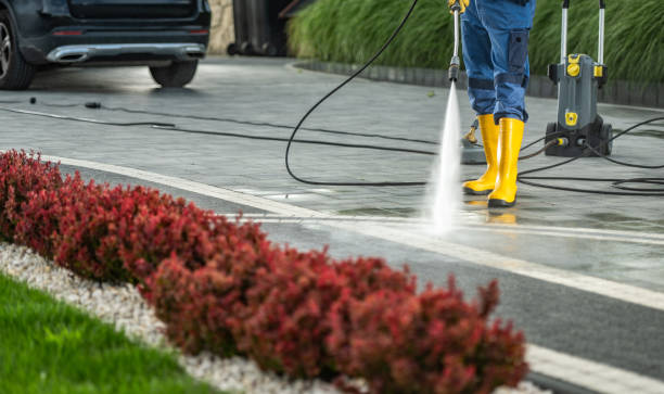 Best Restaurant Pressure Washing  in Rossville, IN