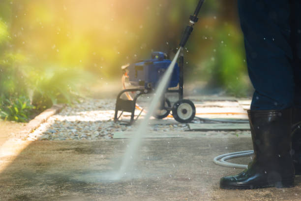Best Warehouse Cleaning  in Rossville, IN